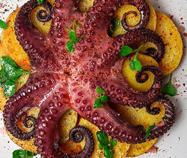 Sortiment Fisch 6 Tintenfisch