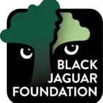 black jaguar foundation