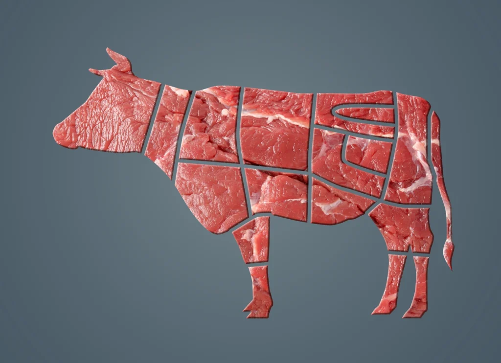 Magazin 2 conceptual silhouette of a cow filled with raw bee 2026 05 11 16 33 28 utc Kopie